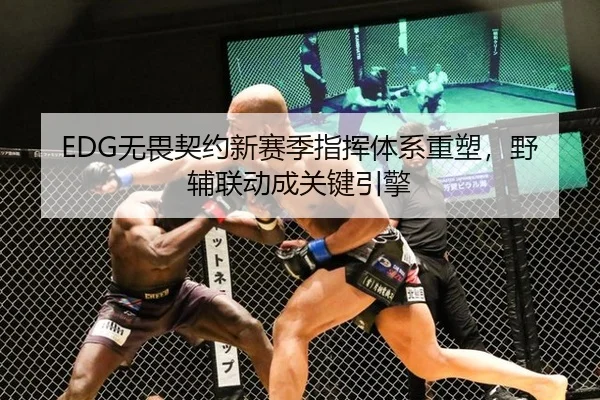 EDG无畏契约新赛季指挥体系重塑，野辅联动成关键引擎