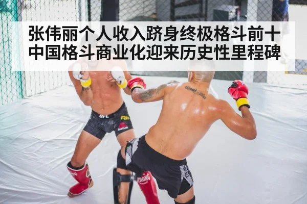 UFC octagon arena